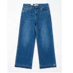 jean levis