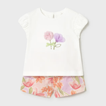 Conjunto flores