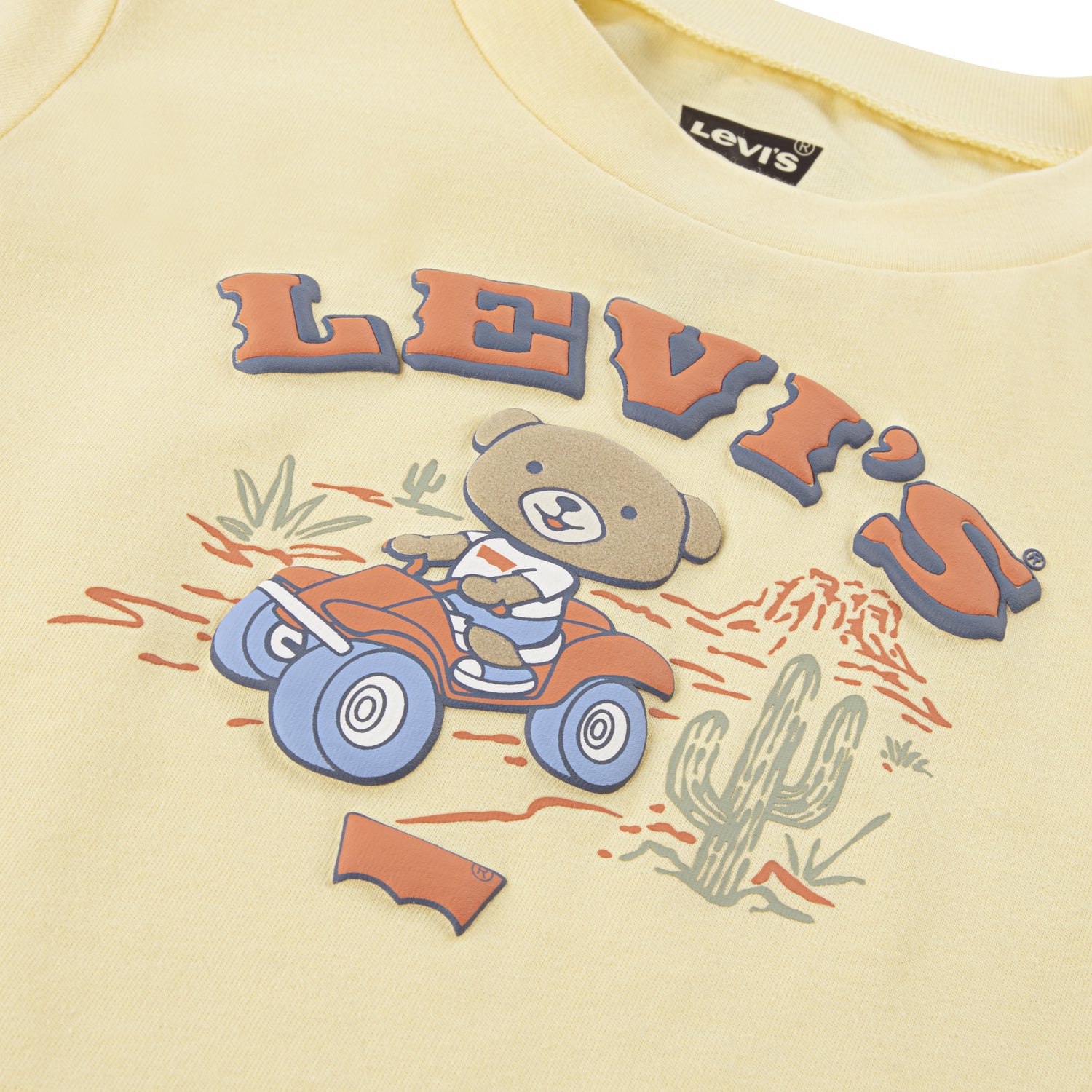 Conjunto Levis