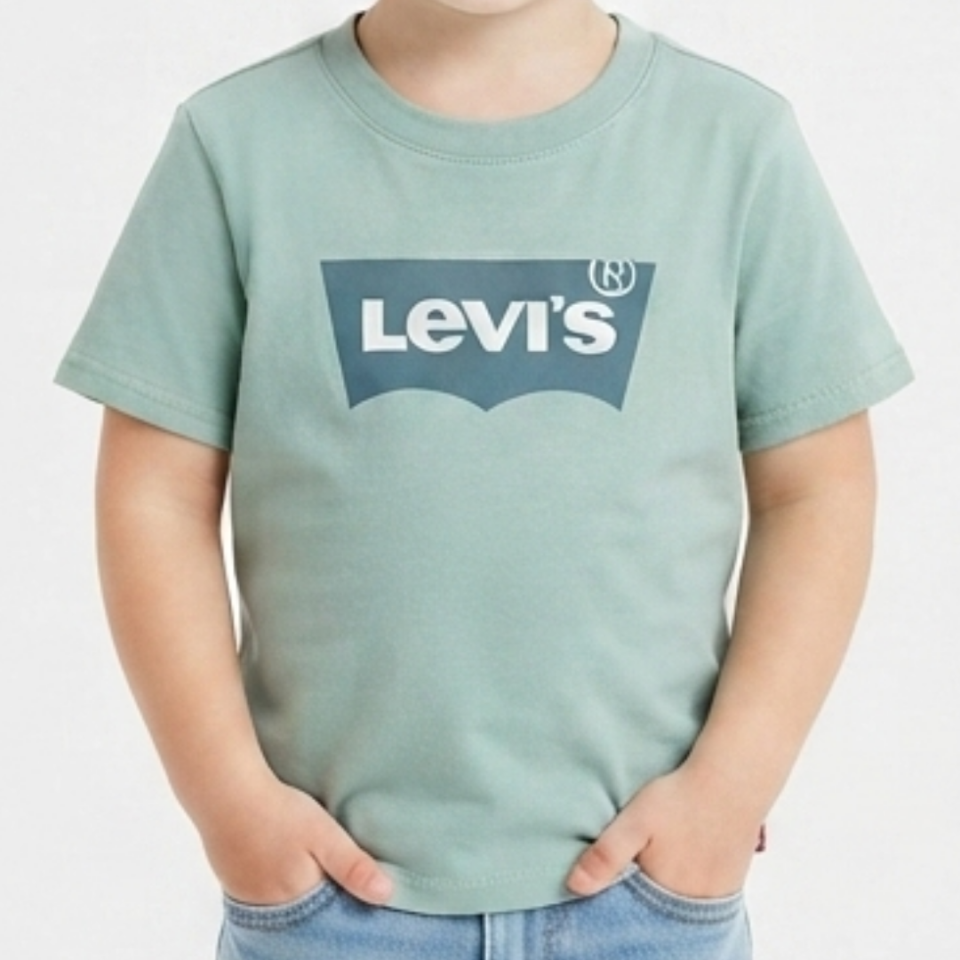 Camiseta levis